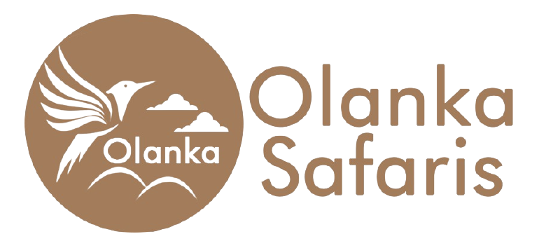 Olanka Safaris