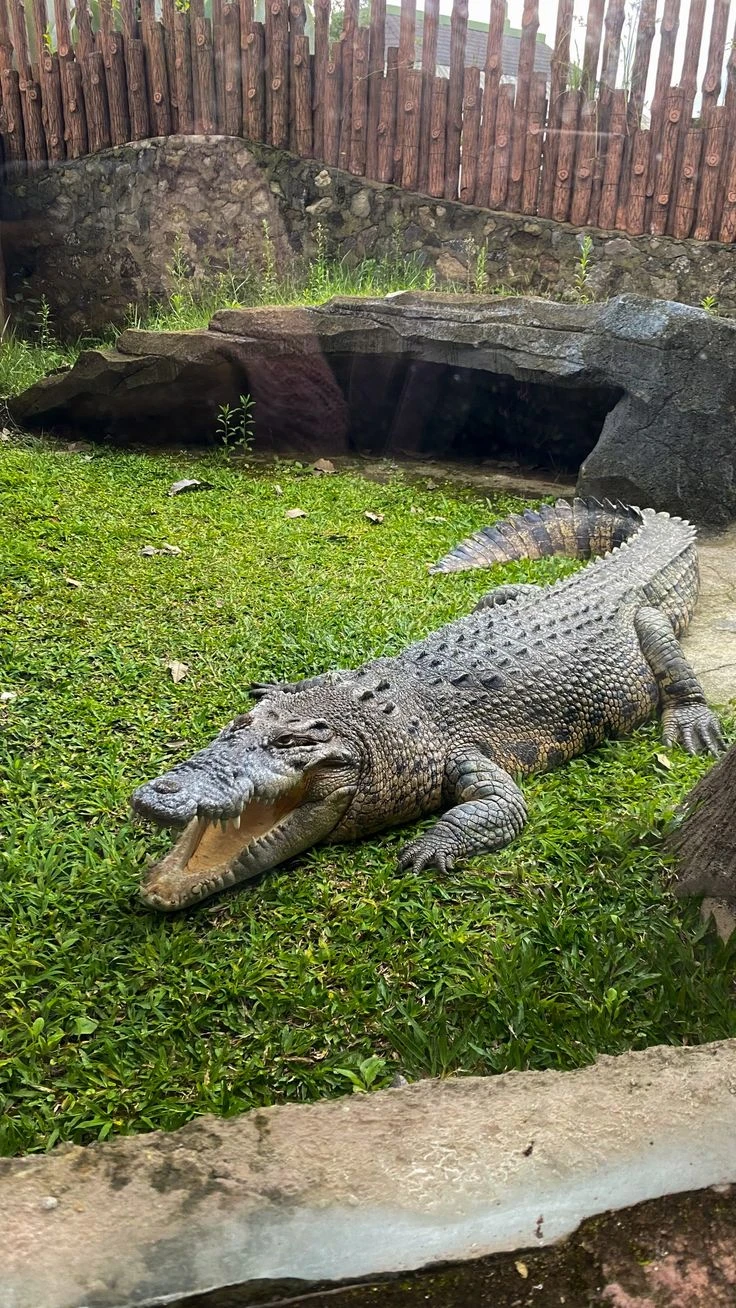 bujumbura-zoo
