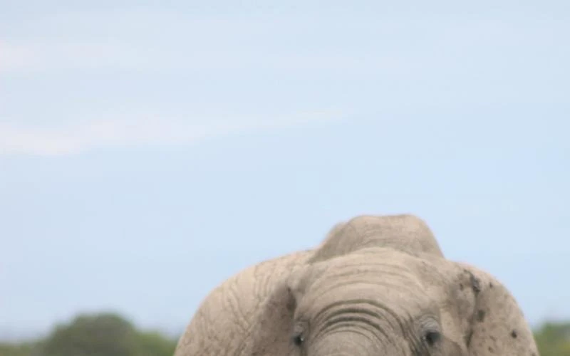 chyulu-hills-national-park