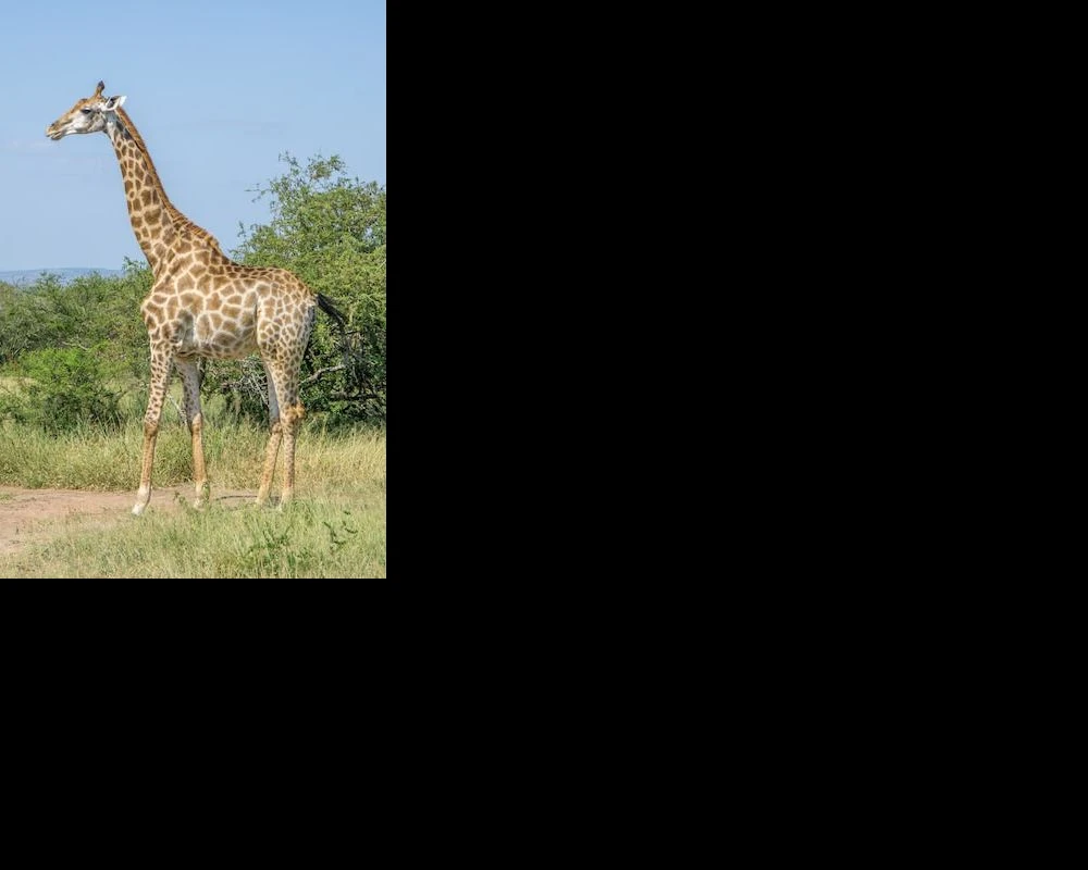 isimangaliso-wetland-park