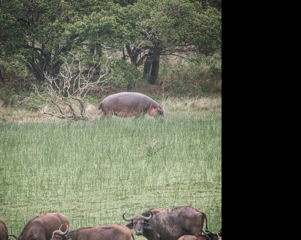 isimangaliso-wetland-park