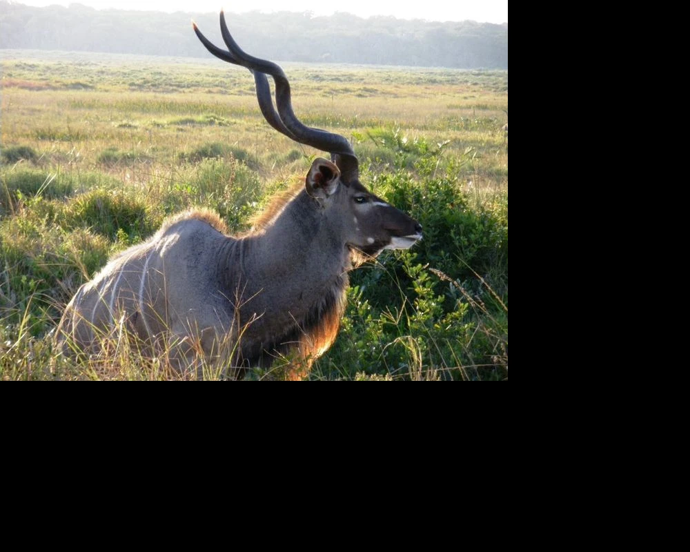 isimangaliso-wetland-park