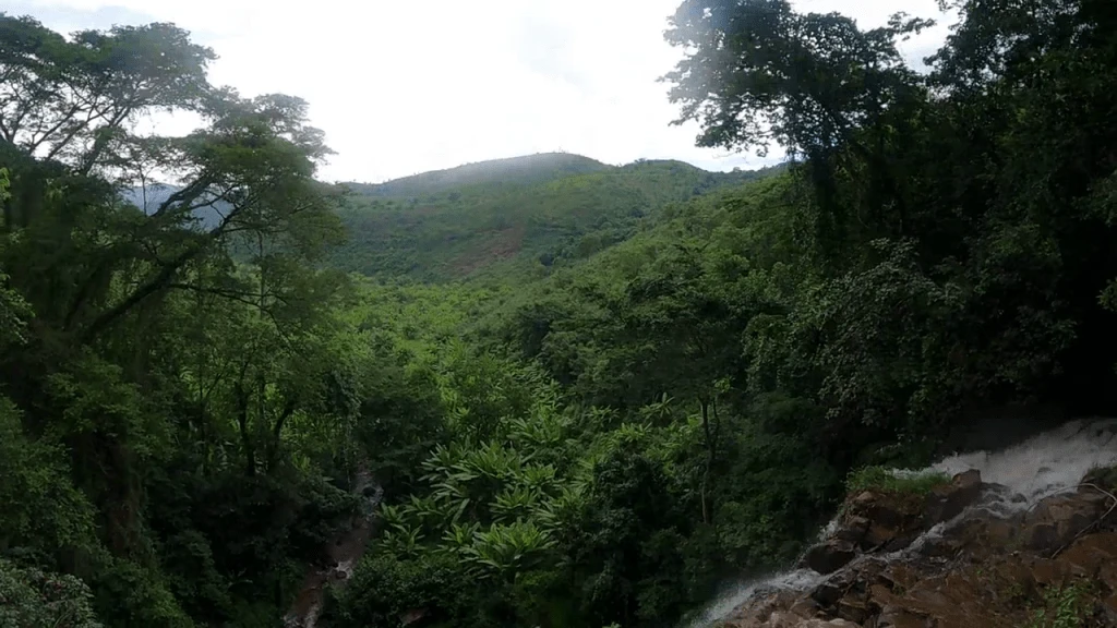 kibira-national-park