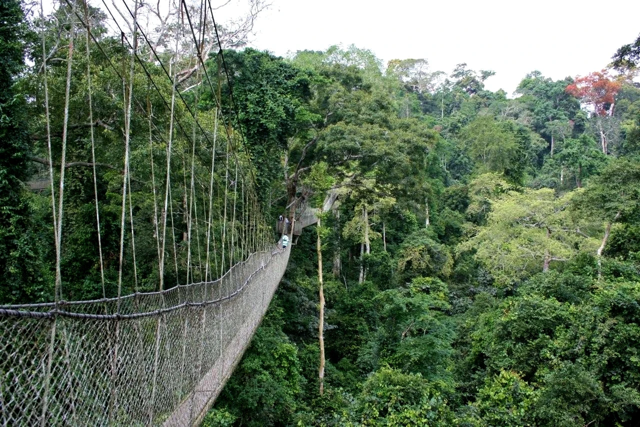 kibira-national-park