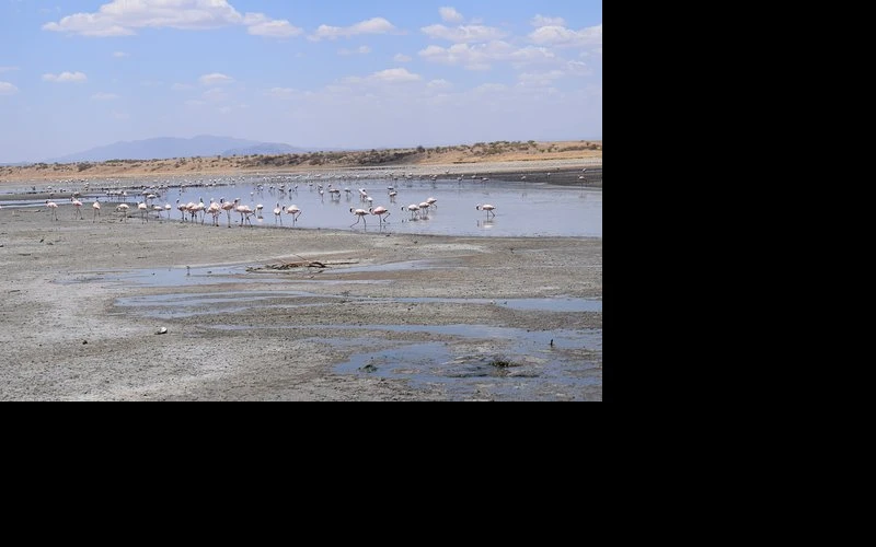 lake-magadi-conservancy