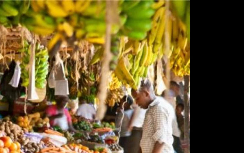 mombasa-city-tour