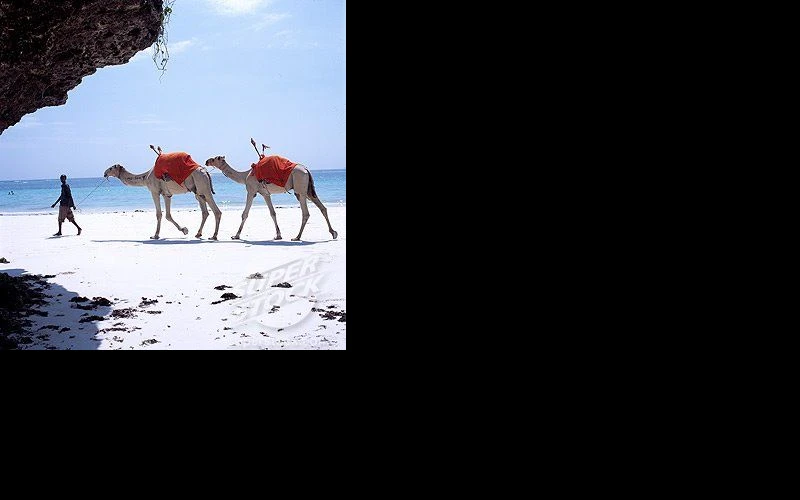 mombasa-city-tour