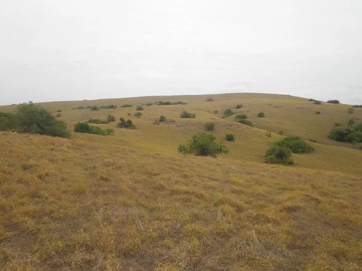 ndere-island-national-park