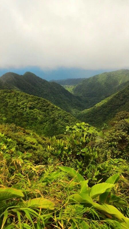 ndere-island-national-park