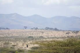 oloolotikoshi-hills