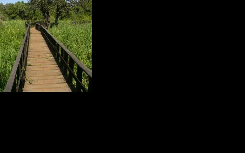 saiwa-swamp-national-park