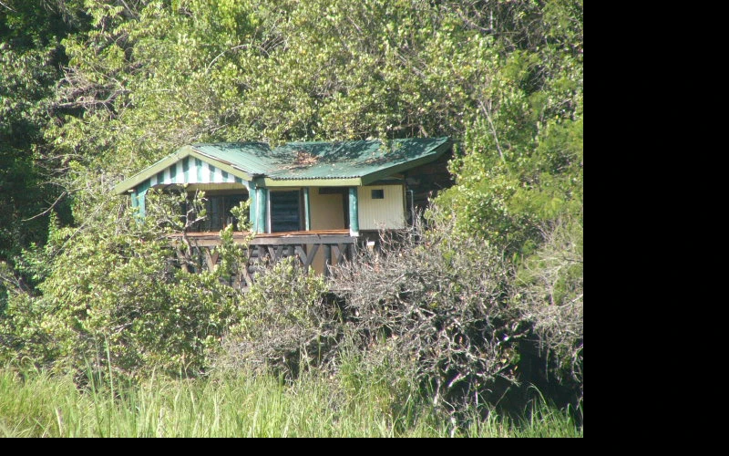 saiwa-swamp-national-park