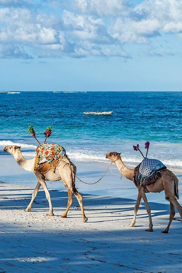 shela-beach