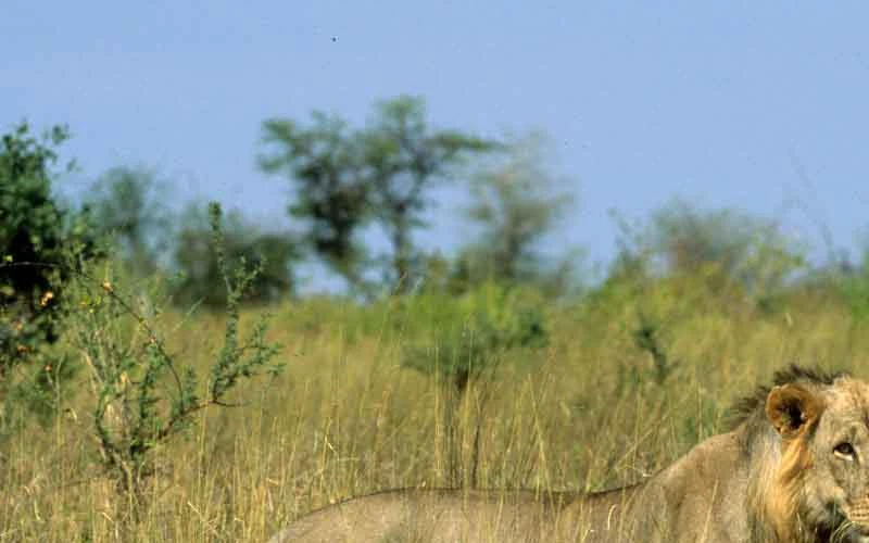 soyian-conservancy
