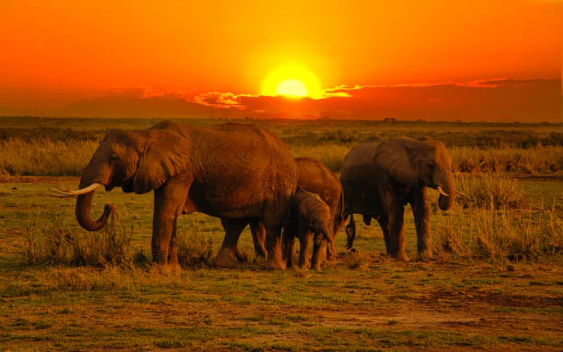 tsavo-west-national-park