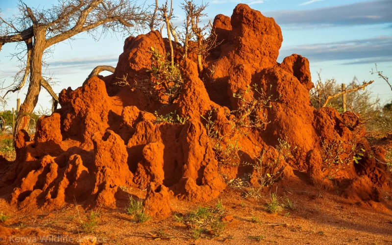 tsavo-west-national-park