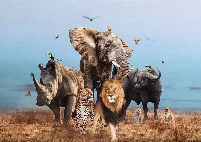 Discover the Big Five Animals of Masai Mara
