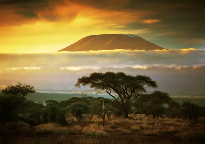 amboseli