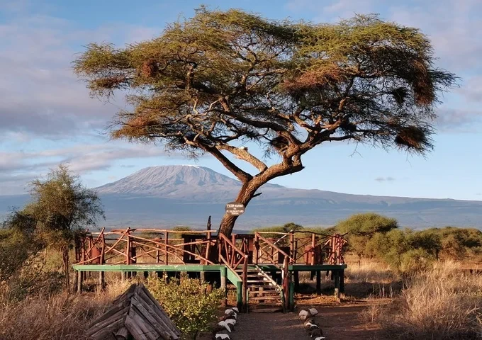 amboseli