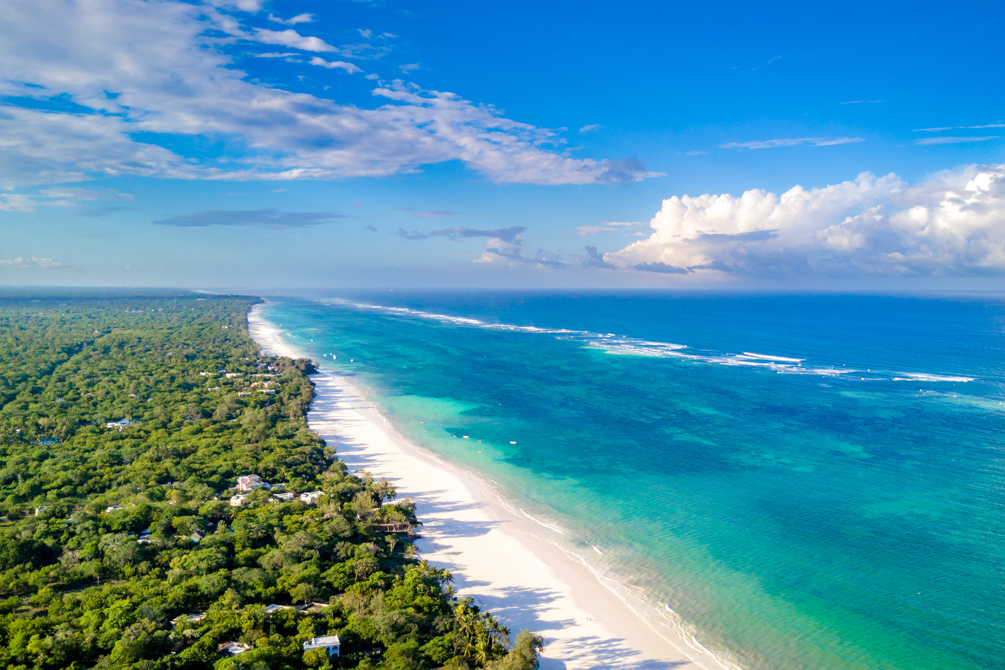 Diani
