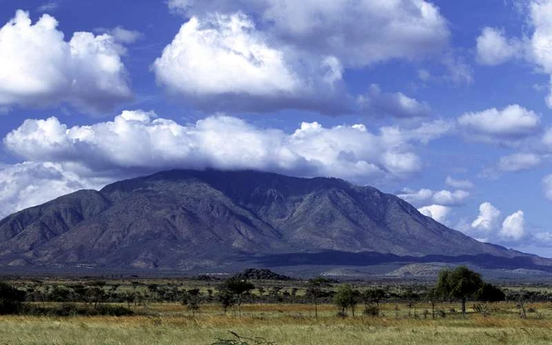 kitale
