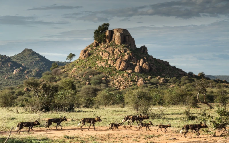 laikipia-county