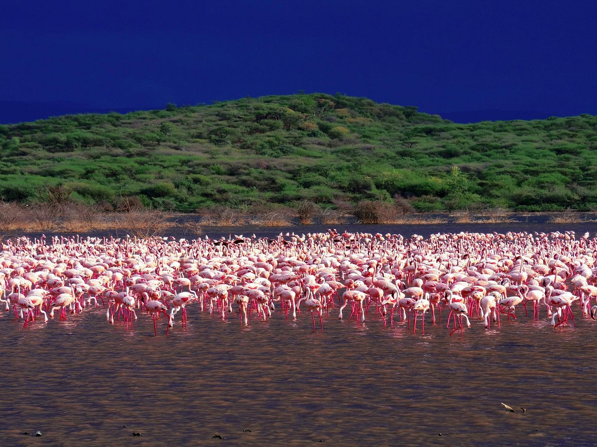 Lake Baringo