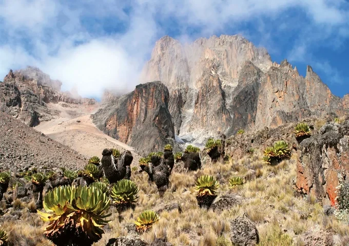 mt-kenya