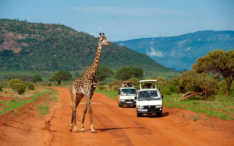 tsavo-east-n-p