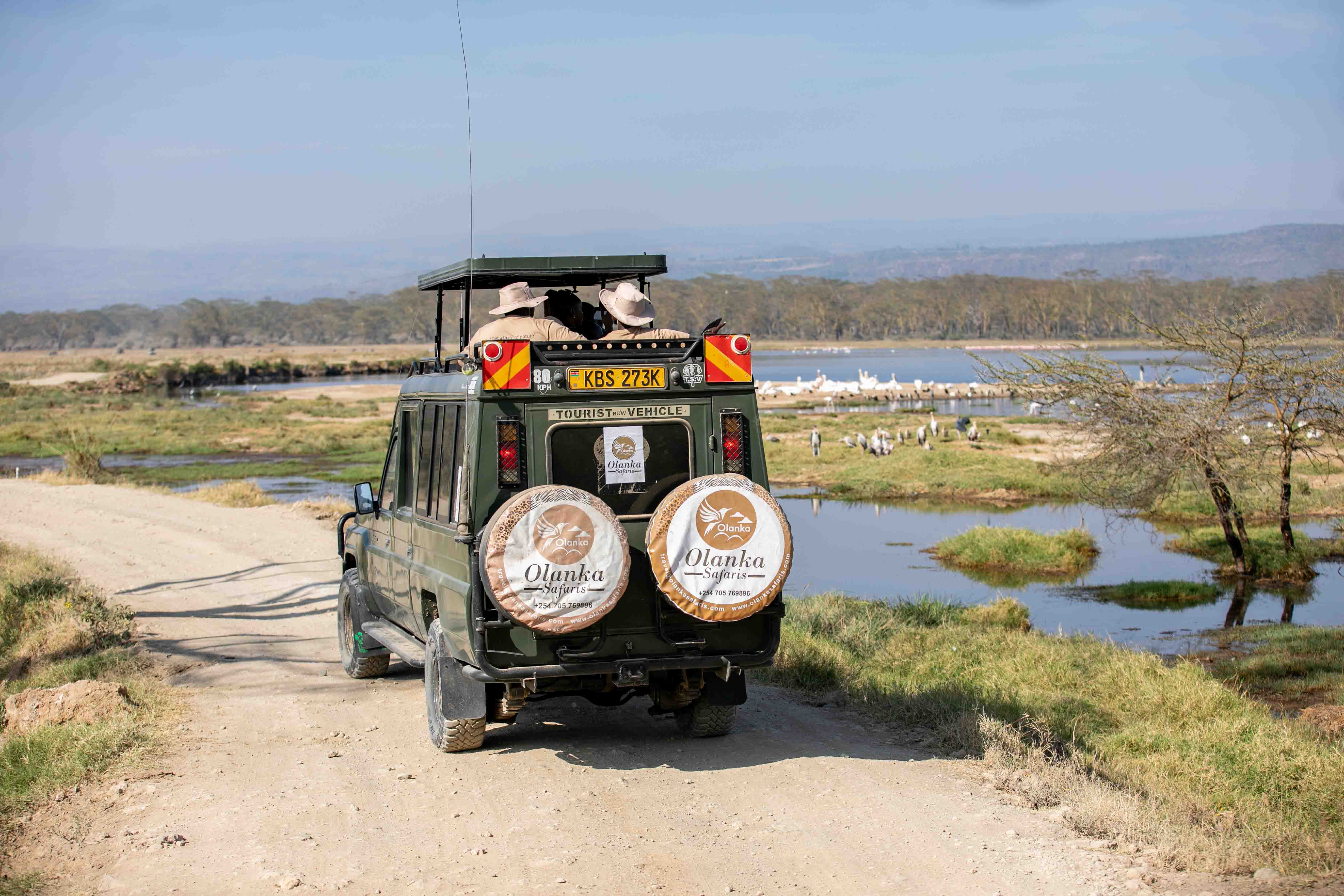Kenya Safari
