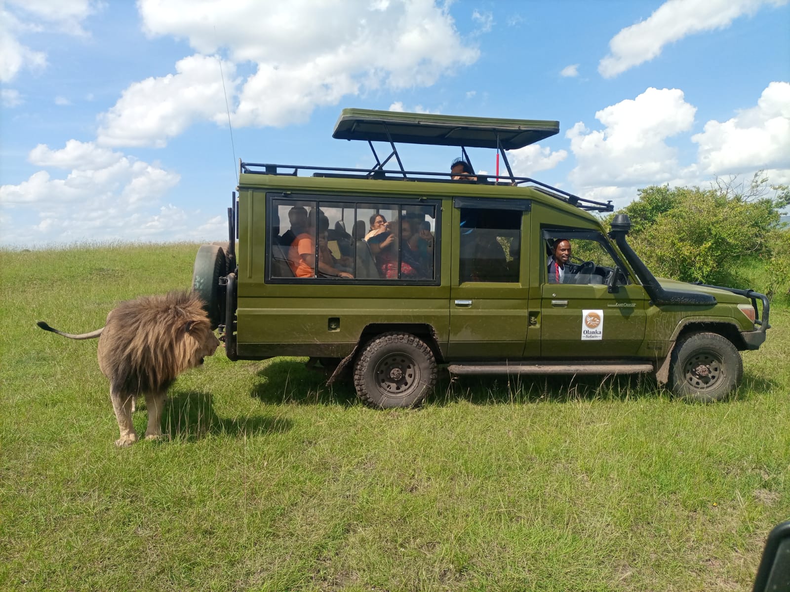 Kenya Safari