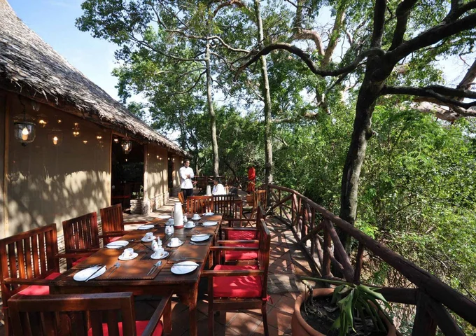 fig-tree-camp-masai-mara