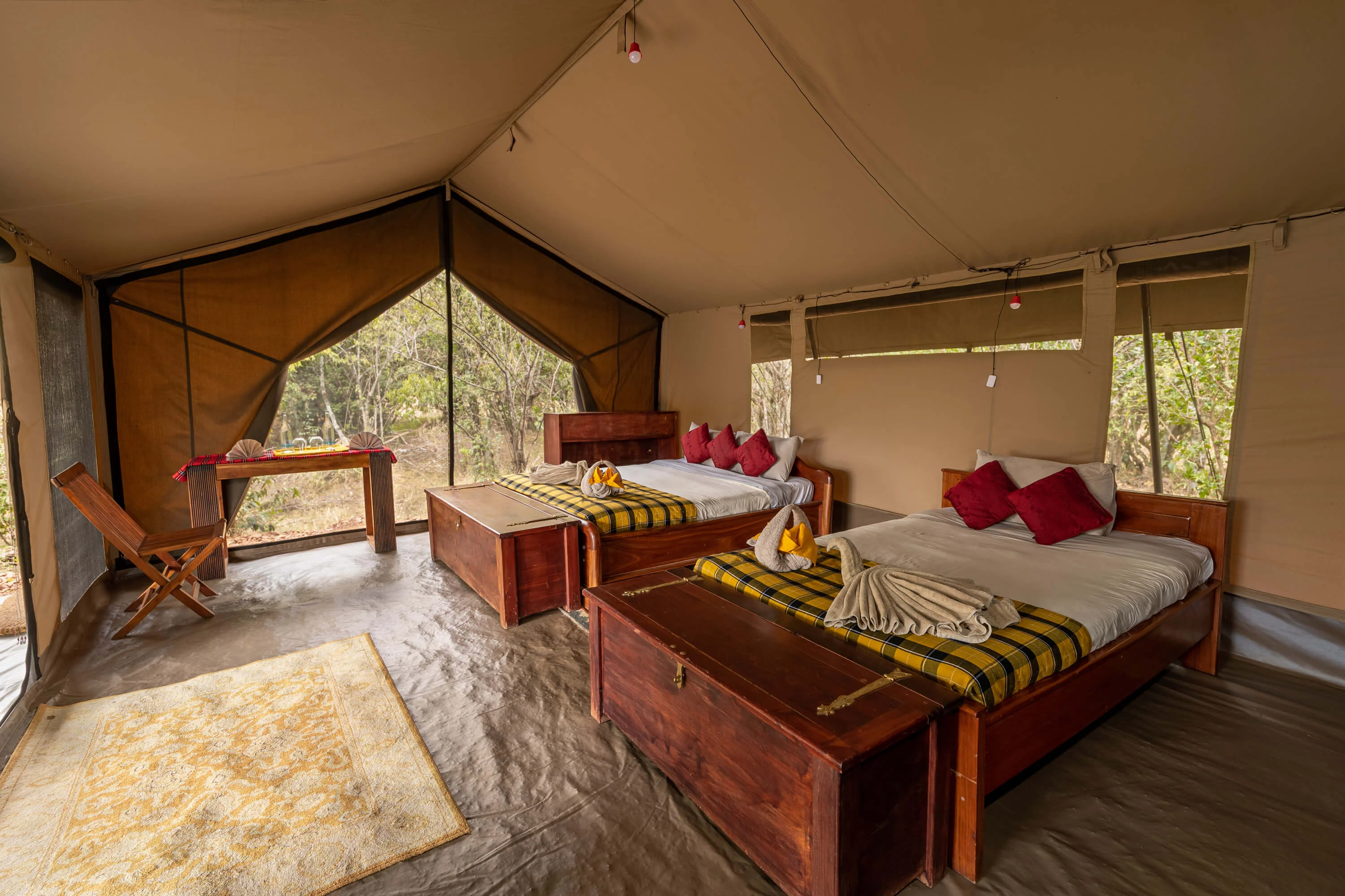 hammerkop-migration-camp