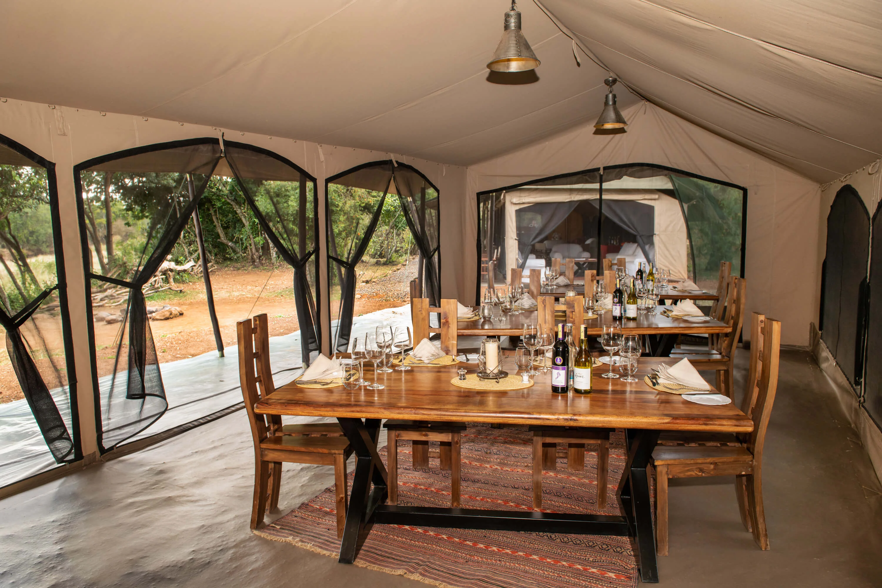 hammerkop-migration-camp