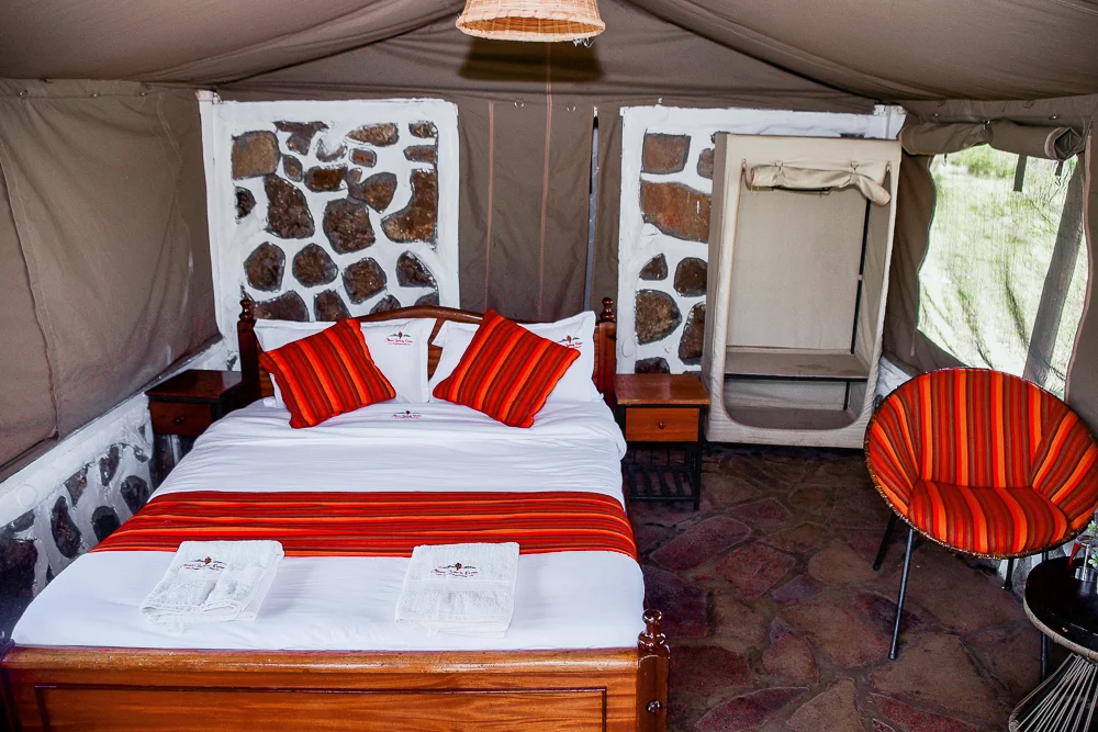 eleganta-olerai-camp