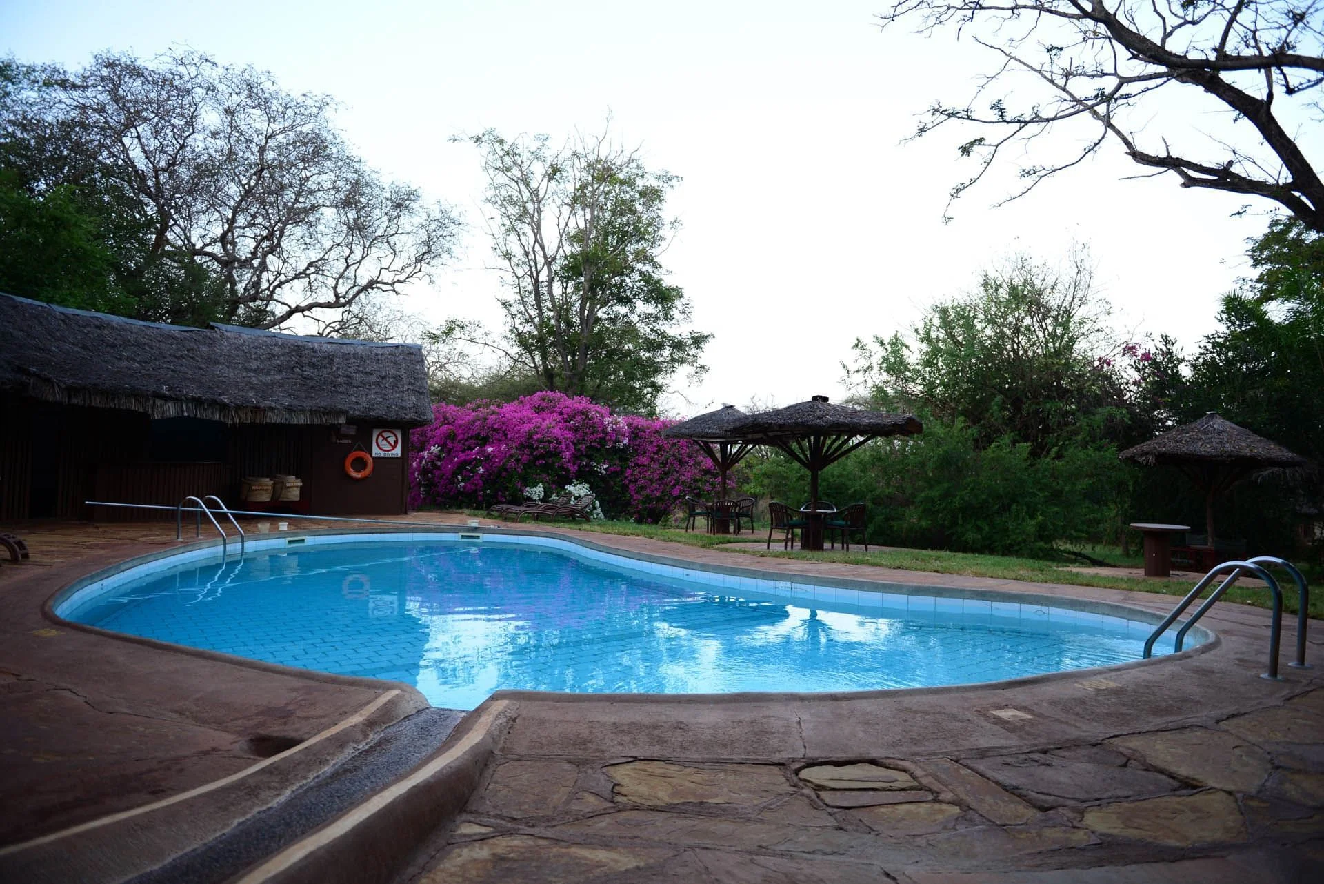 kilaguni-serena-safari-lodge