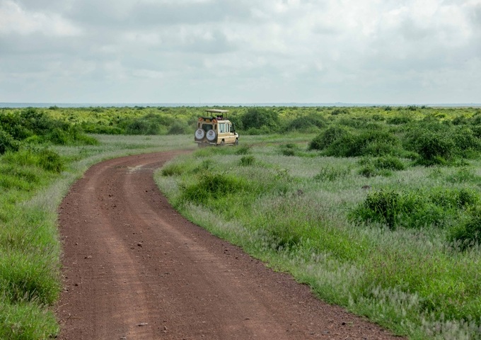 12 Days Magical Kenya Safari And Beach Retreat
