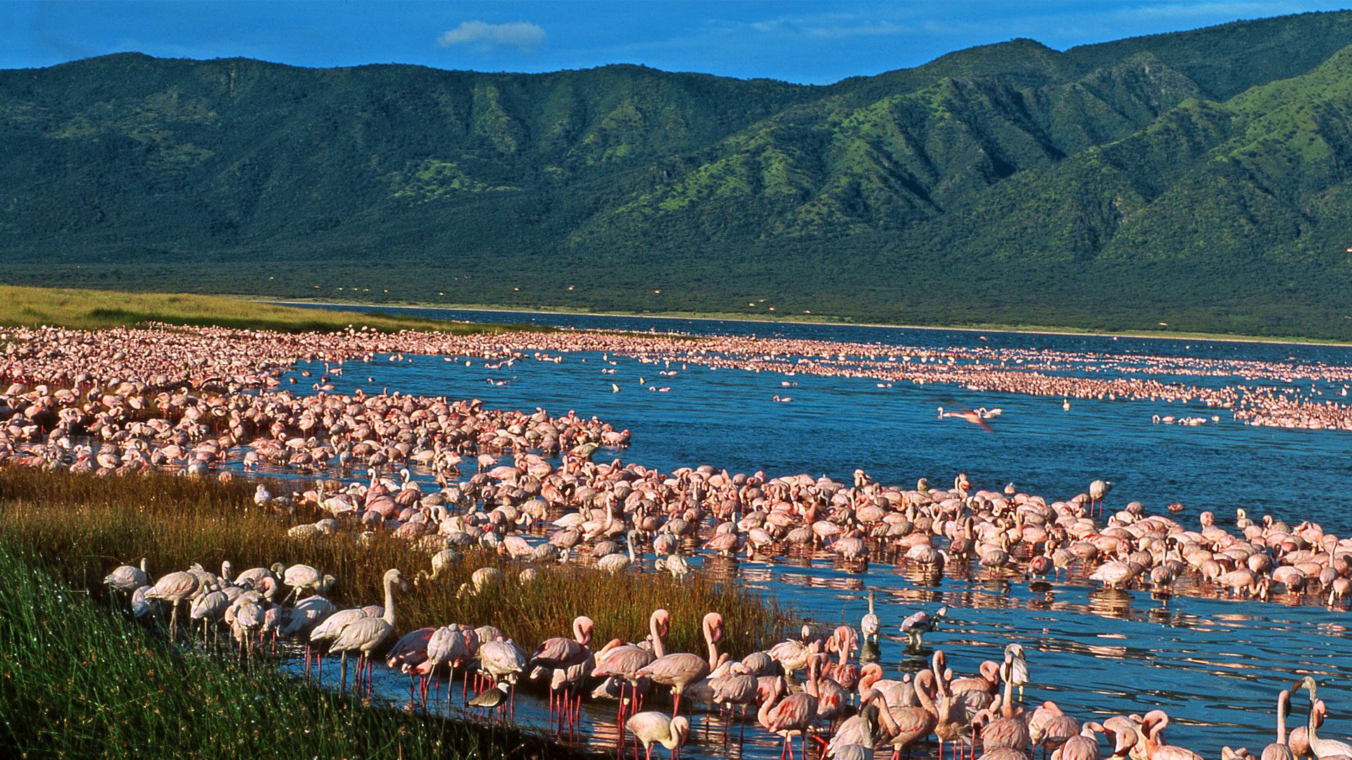 2 Days Rift Valley Safari Package