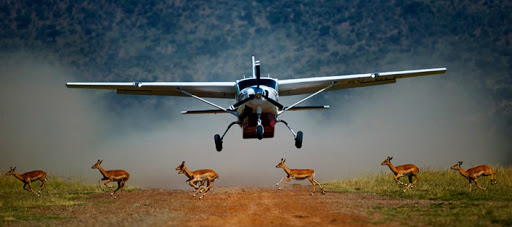 6 DAYS 5 NIGHTS FLYING PACKAGE MASAI MARA AND DIANI